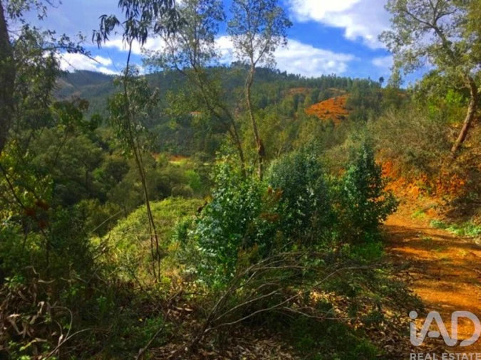 Terreno para Venda em Marmelete Foto 25