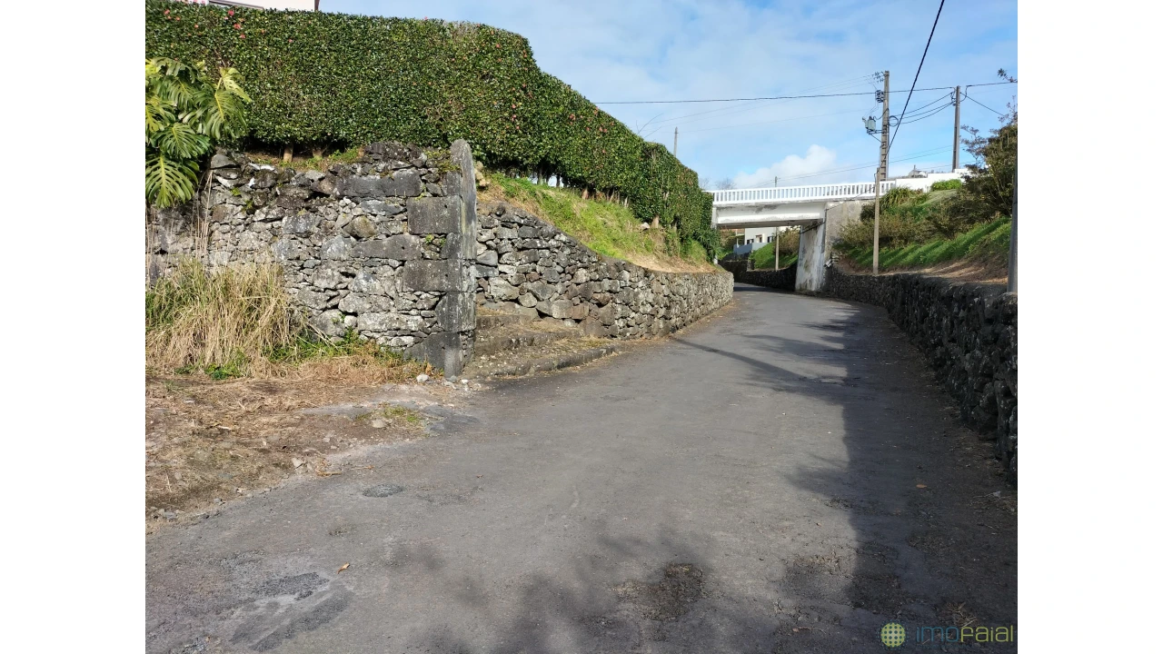 Terreno para Venda em Horta (Conceição) Foto 3
