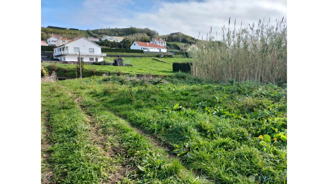 Terreno para Venda em Horta (Conceição) Foto 10