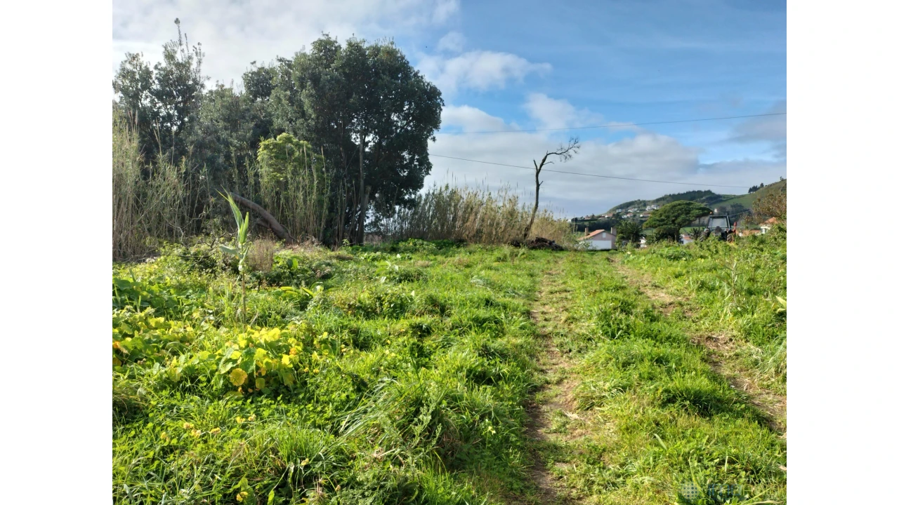 Terreno para Venda em Horta (Conceição) Foto 6