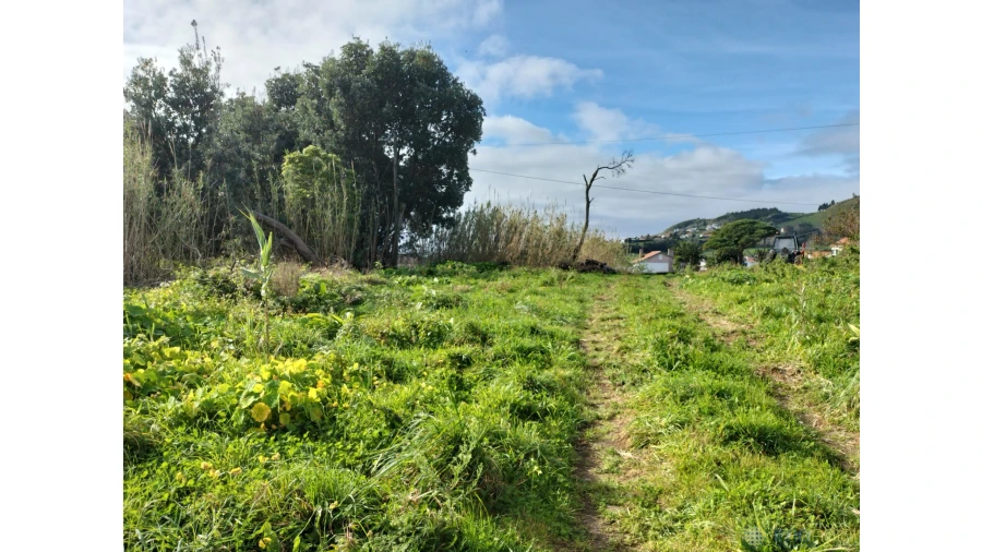 Terreno para Venda em Horta (Conceição) Foto 6