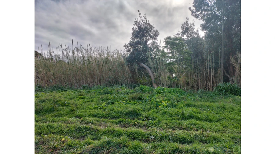 Terreno para Venda em Horta (Conceição) Foto 11