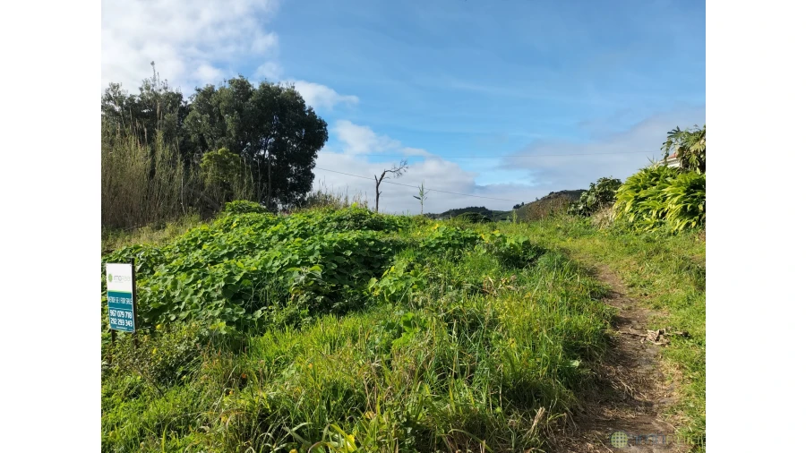 Terreno para Venda em Horta (Conceição) Foto 5