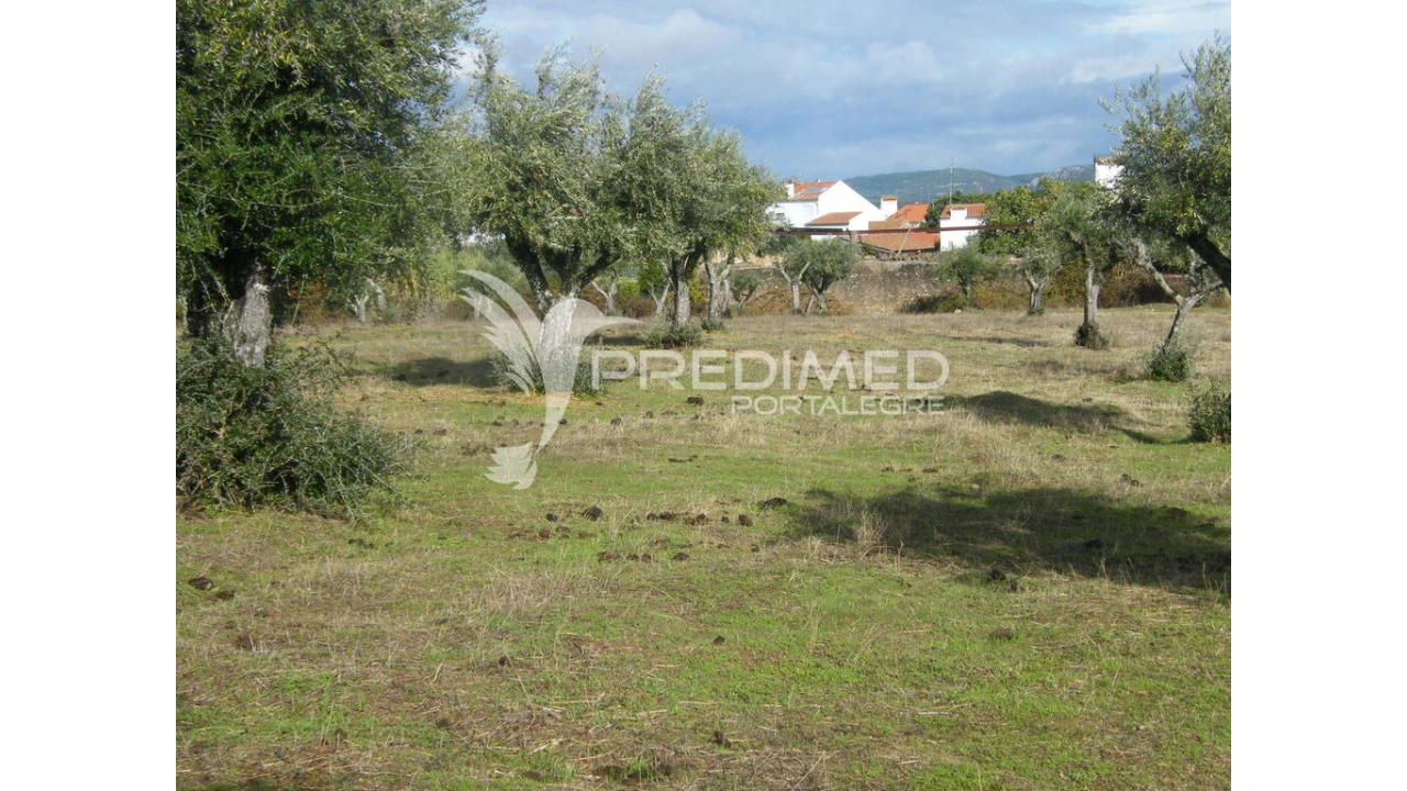 Terreno para Venda em Espírito Santo, Nossa Senhora da Graça e São Simão Foto 7