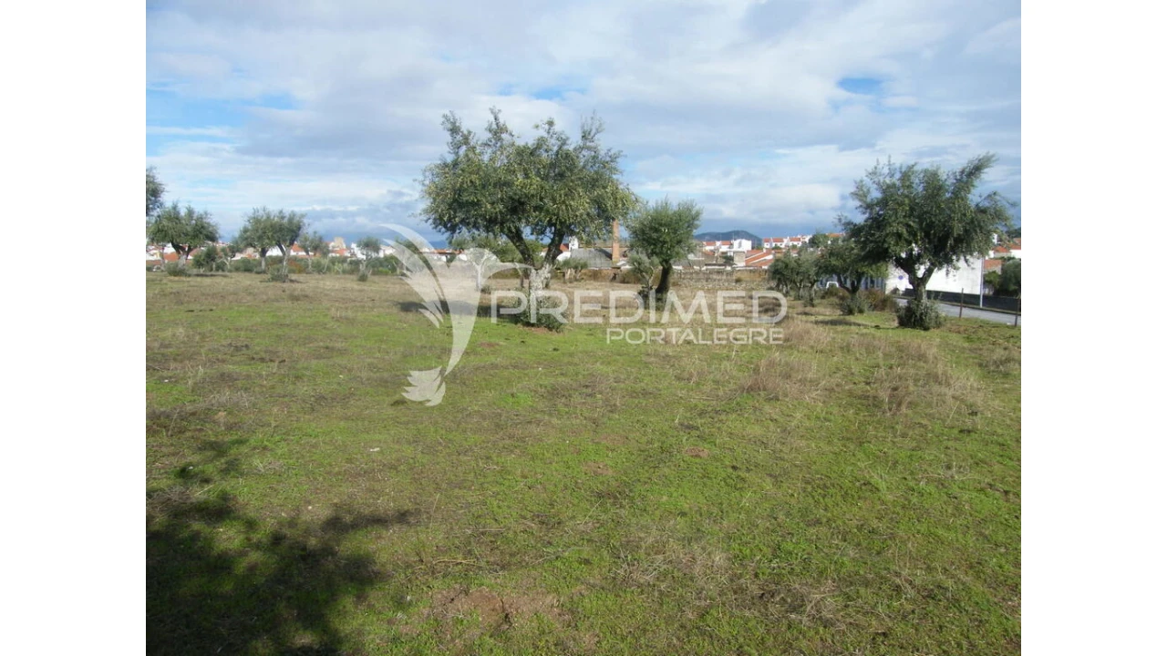 Terreno para Venda em Espírito Santo, Nossa Senhora da Graça e São Simão Foto 5