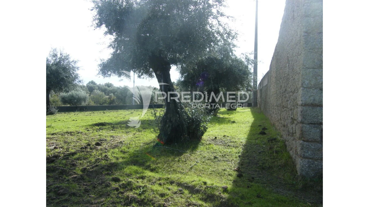 Terreno para Venda em Espírito Santo, Nossa Senhora da Graça e São Simão Foto 14