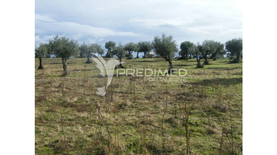 Terreno para Venda em Espírito Santo, Nossa Senhora da Graça e São Simão Foto 9