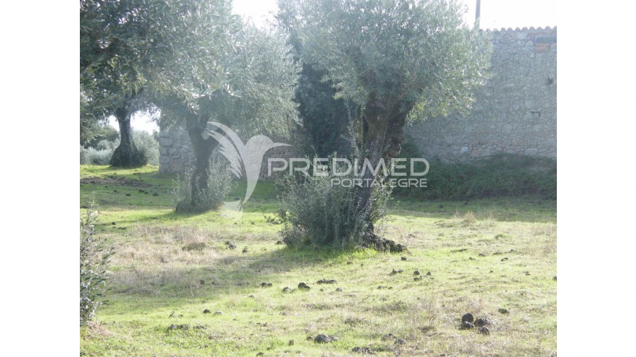 Terreno para Venda em Espírito Santo, Nossa Senhora da Graça e São Simão Foto 13