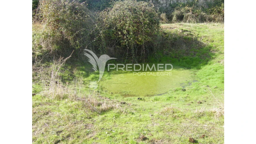 Terreno para Venda em Espírito Santo, Nossa Senhora da Graça e São Simão Foto 10
