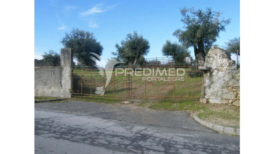 Terreno para Venda em Espírito Santo, Nossa Senhora da Graça e São Simão Foto 1