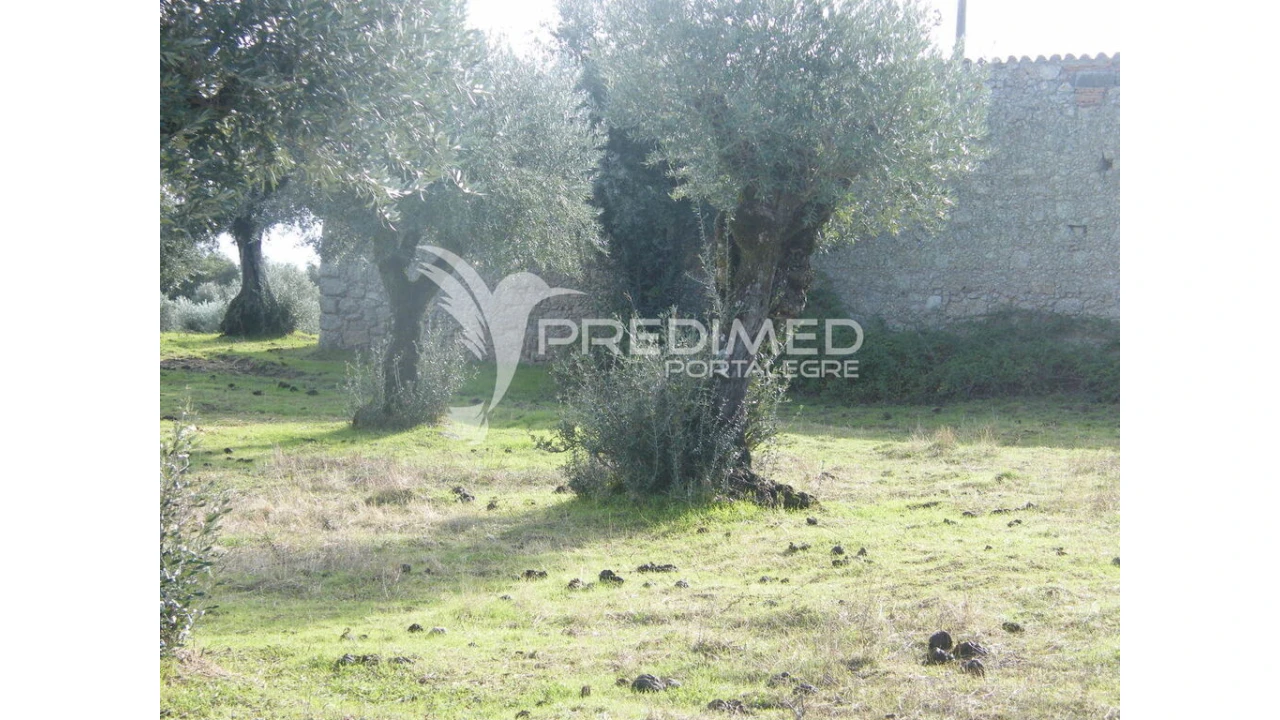 Terreno para Venda em Espírito Santo, Nossa Senhora da Graça e São Simão Foto 13