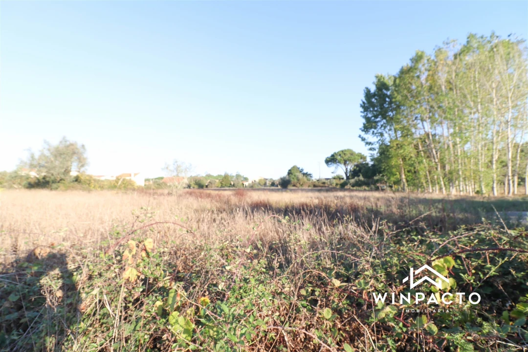 Terreno para Venda em Lapa do Lobo Foto 6