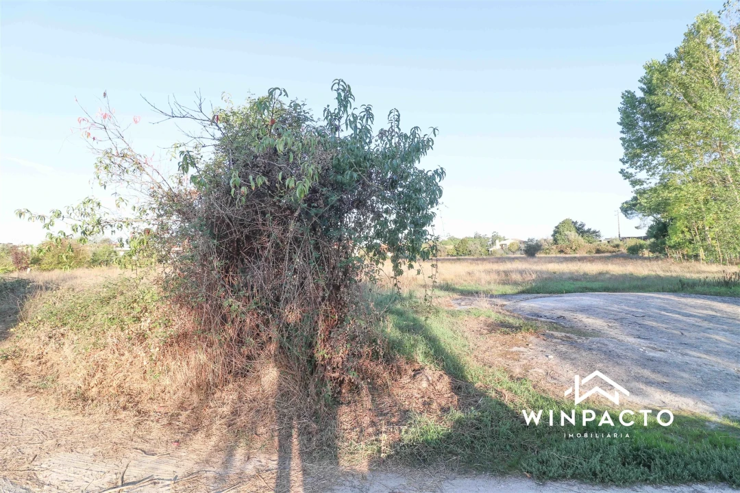 Terreno para Venda em Lapa do Lobo Foto 5