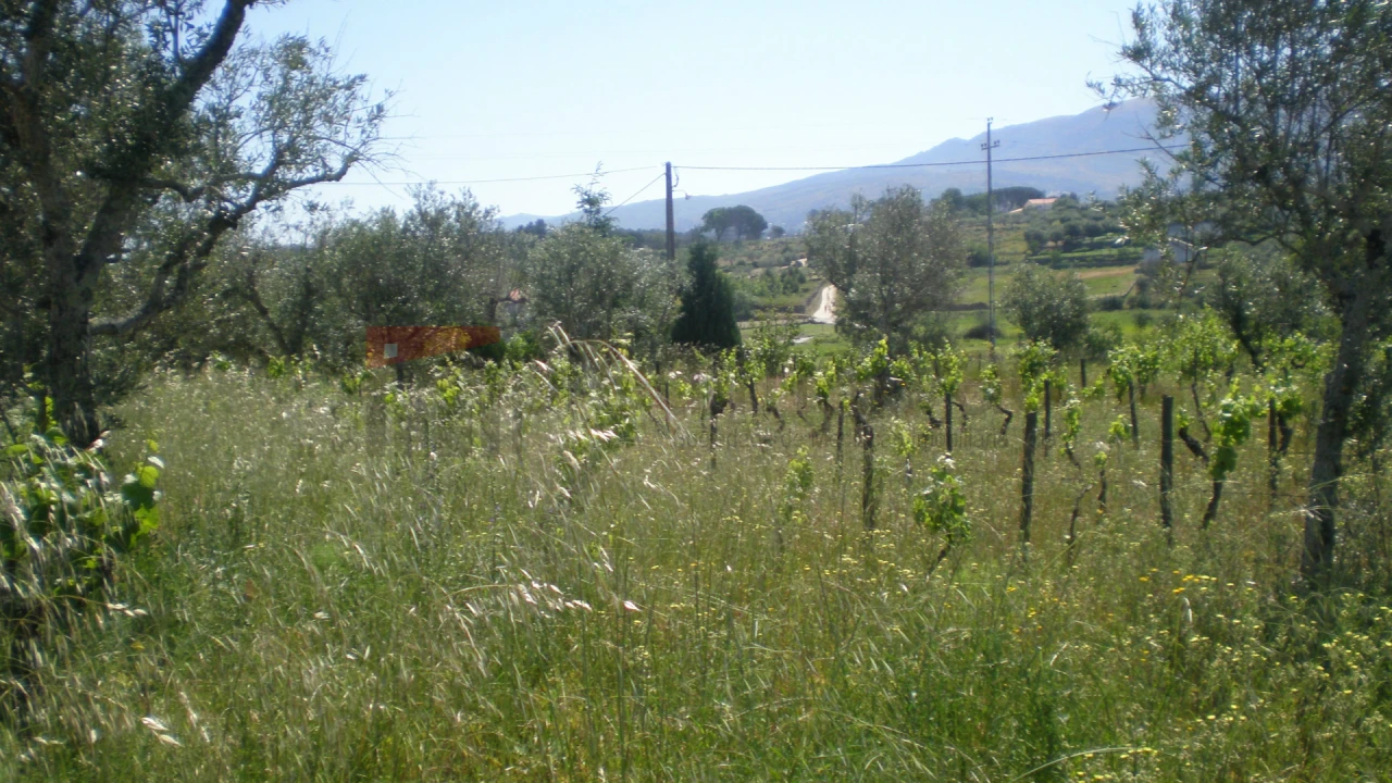 Terreno Agricola ou Rústico para Venda em Rio Torto e Lagarinhos Foto 3