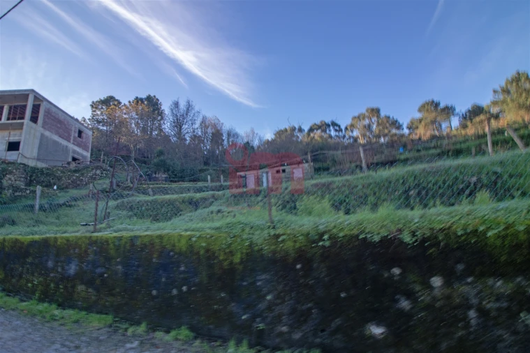 Terreno Agricola ou Rústico para Venda em Lustosa e Barrosas (Santo Estêvão) Foto 1