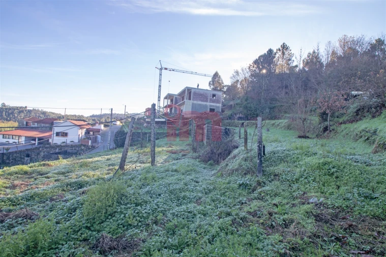 Terreno Agricola ou Rústico para Venda em Lustosa e Barrosas (Santo Estêvão) Foto 3