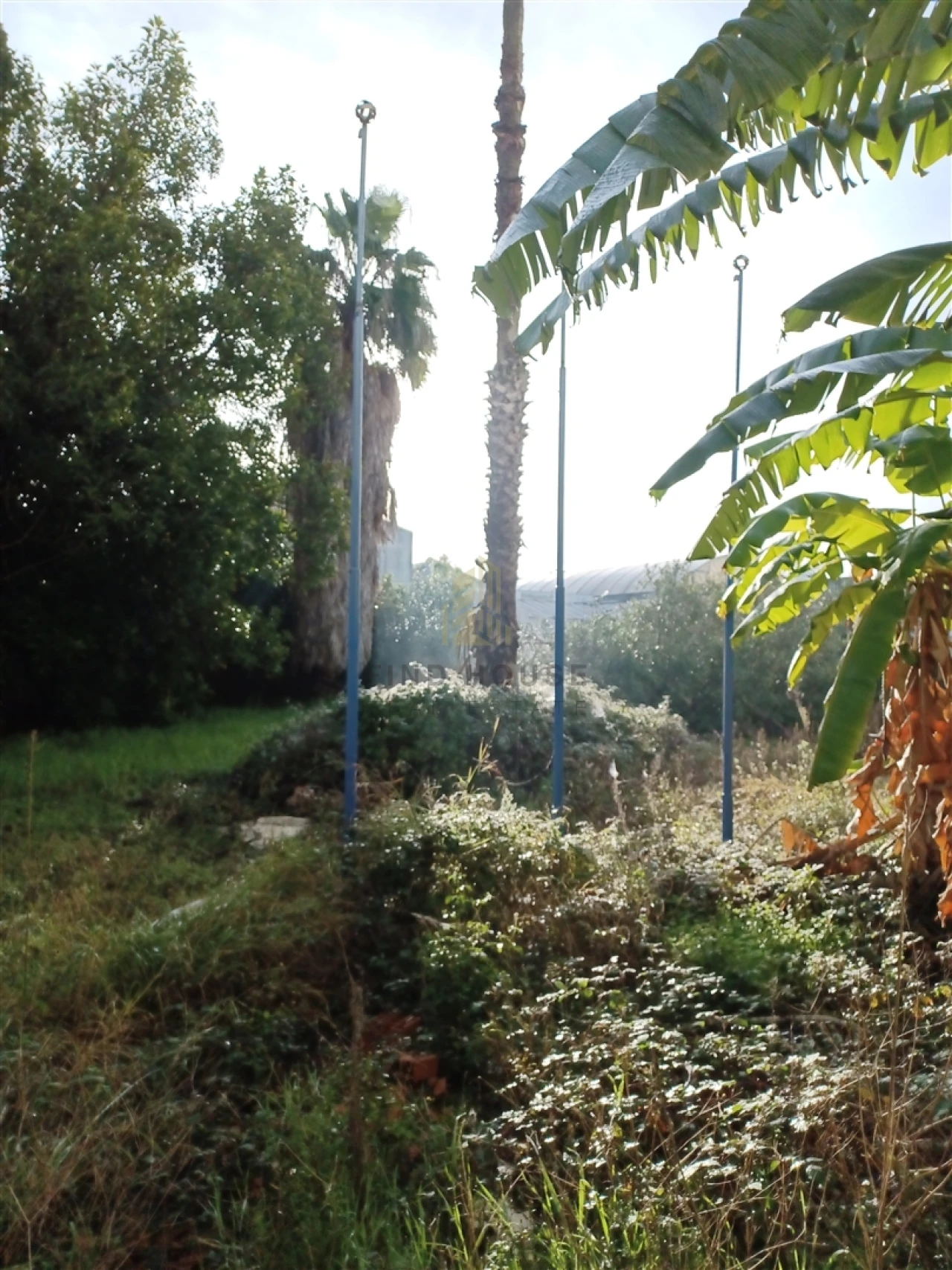 Armazém para Venda em Falagueira-Venda Nova Foto 1