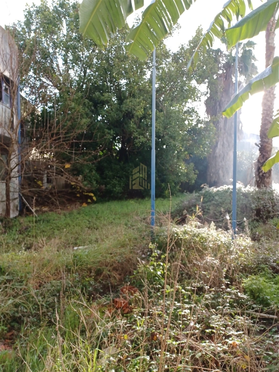 Armazém para Venda em Falagueira-Venda Nova Foto 5