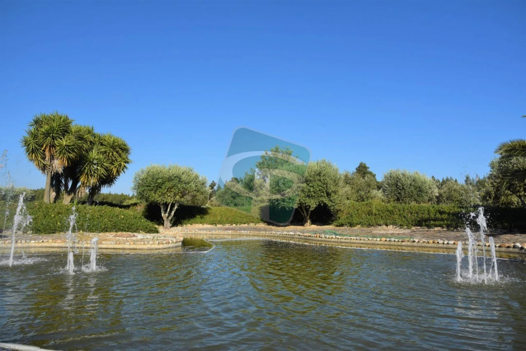 Quinta T1 para Venda em Vila Chã de Ourique Foto 2