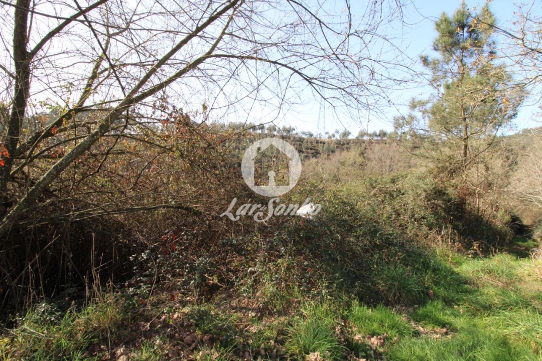 Terreno Agricola ou Rústico para Venda em Ribeirão Foto 3