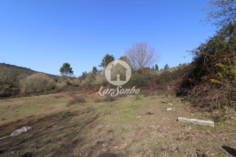 Terreno Agricola ou Rústico para Venda em Ribeirão Foto 1
