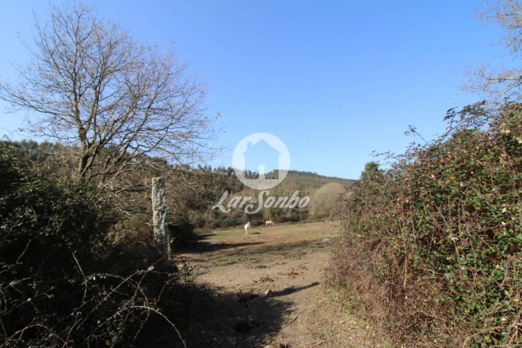 Terreno Agricola ou Rústico para Venda em Ribeirão Foto 2