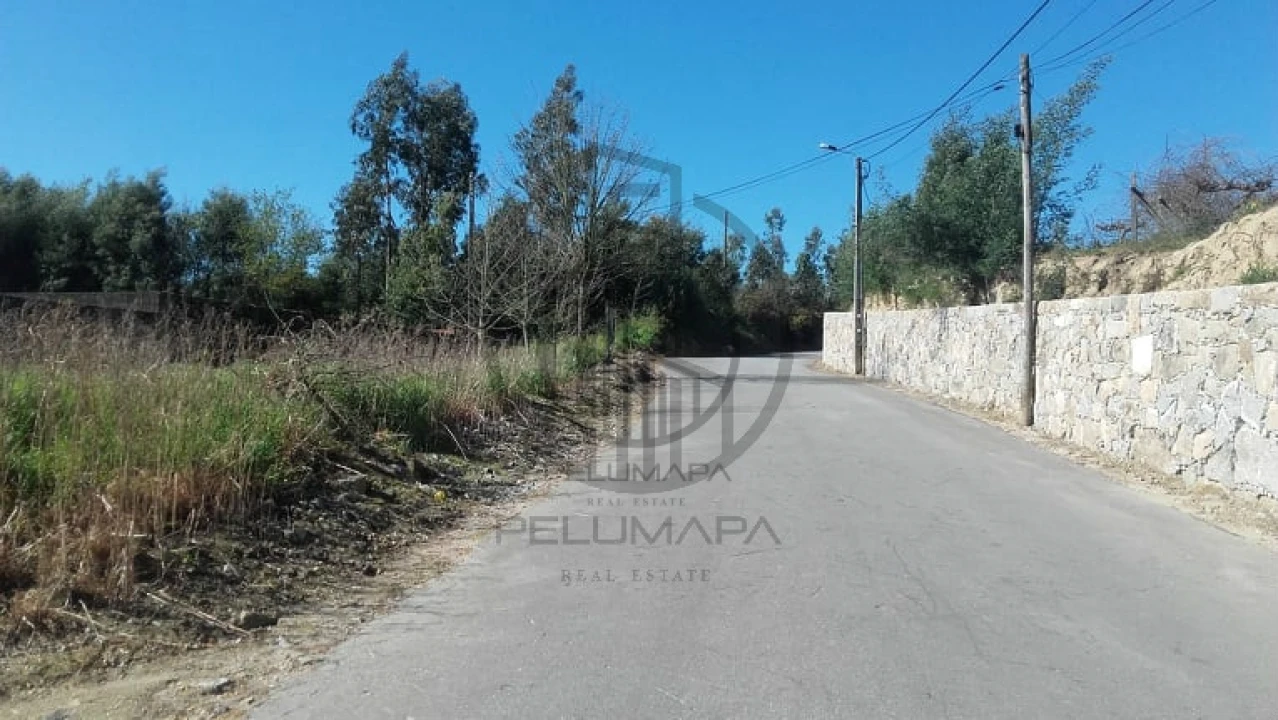 Terreno para Venda em Ruivães e Novais Foto 13