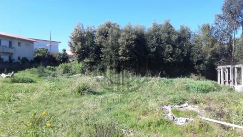 Terreno para Venda em Ruivães e Novais