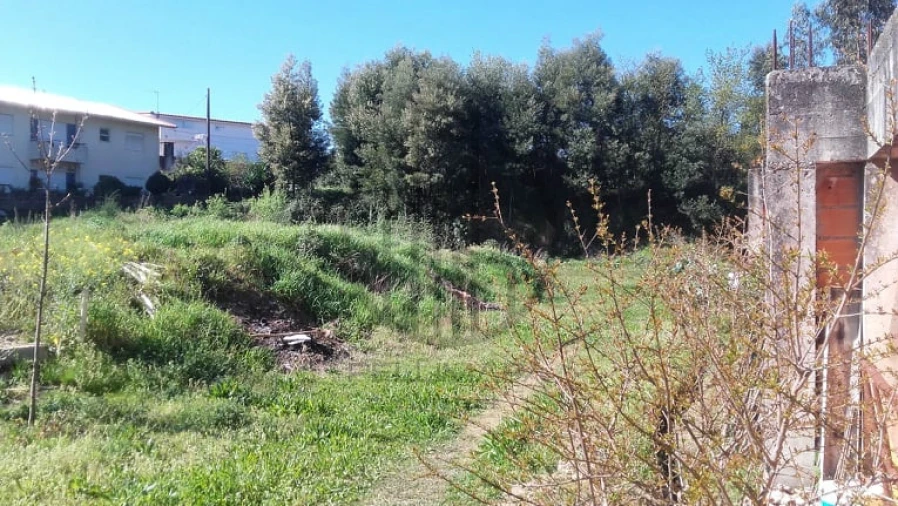 Terreno para Venda em Ruivães e Novais Foto 10