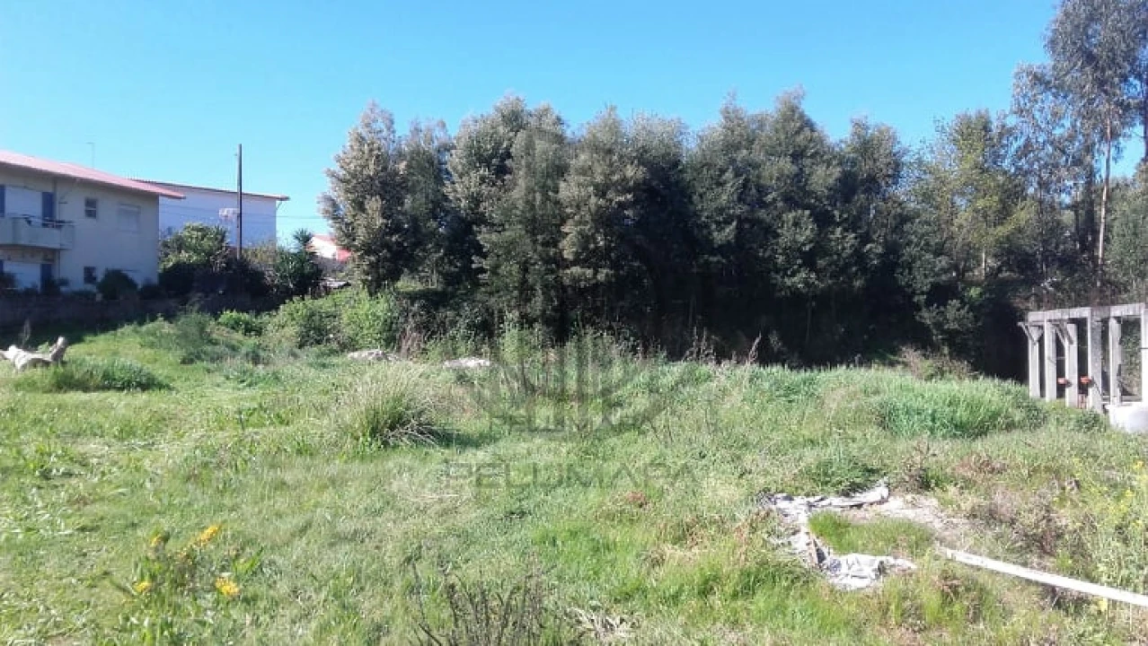 Terreno para Venda em Ruivães e Novais Foto 14
