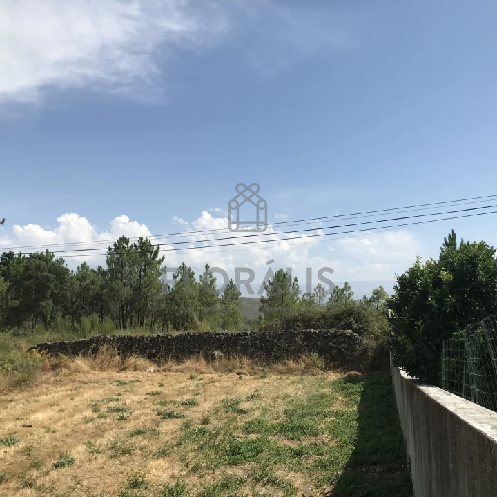 Terreno para Venda em Mangualde, Mesquitela e Cunha Alta Foto 5