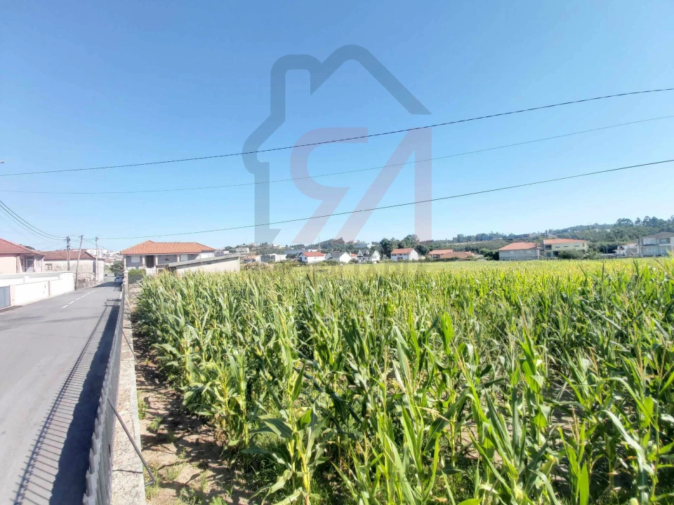 Terreno para Venda em Carvalhosa Foto 3