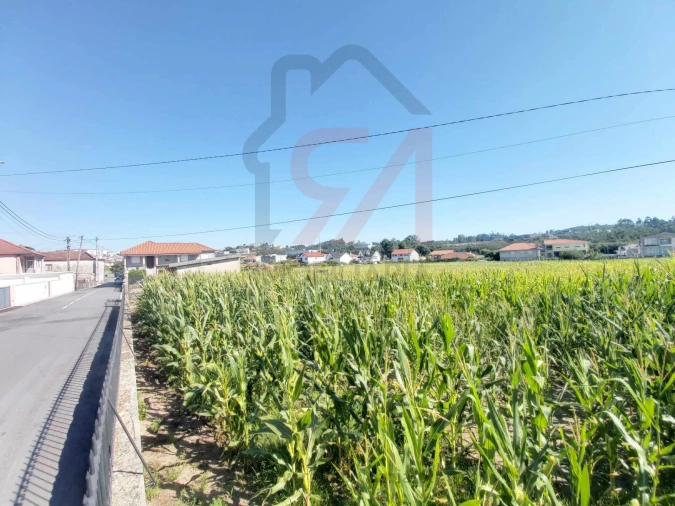 Terreno para Venda em Carvalhosa Foto 3