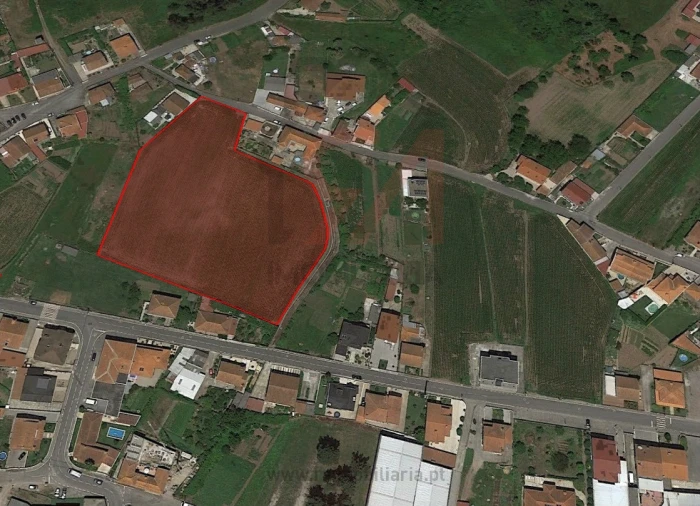 Terreno para Venda em Carvalhosa