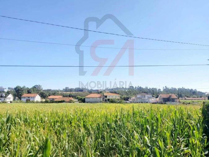 Terreno para Venda em Carvalhosa Foto 4