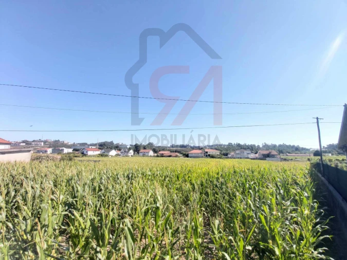 Terreno para Venda em Carvalhosa Foto 5