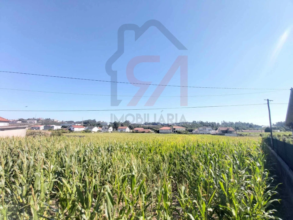 Terreno para Venda em Carvalhosa Foto 5