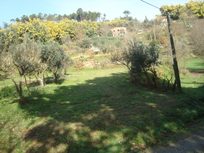 Terreno Misto para Venda em Fragosela