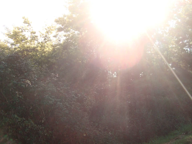 Terreno Misto para Venda em Fragosela Foto 5