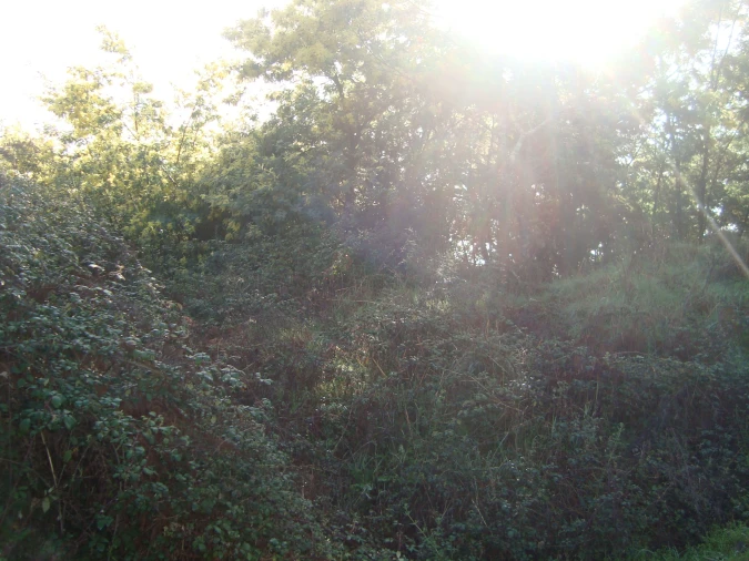 Terreno Misto para Venda em Fragosela Foto 6