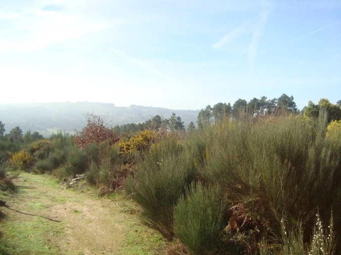 Terreno Misto para Venda em Fragosela Foto 2