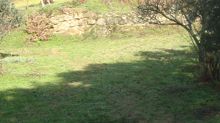 Terreno Misto para Venda em Fragosela