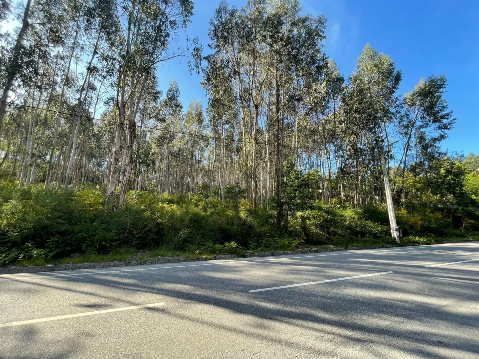 Terreno para Venda em Eiriz Foto 1