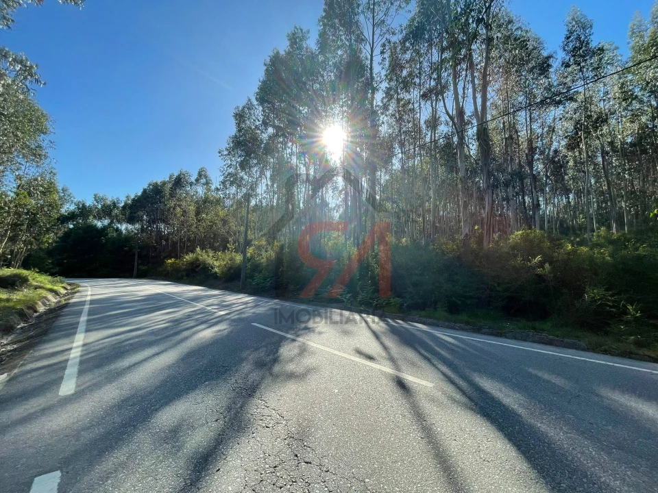 Terreno para Venda em Eiriz Foto 4