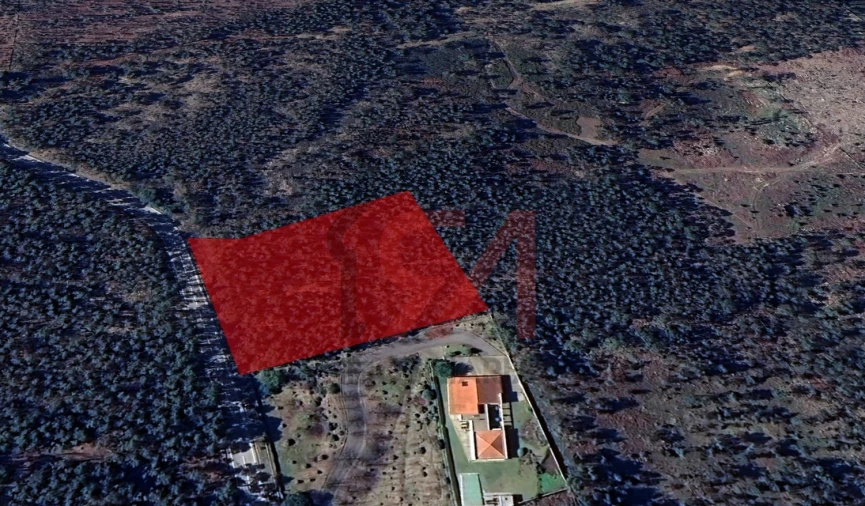 Terreno para Venda em Eiriz Foto 1