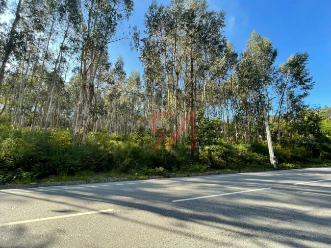 Terreno para Venda em Eiriz Foto 3