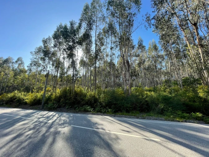 Terreno para Venda em Eiriz Foto 2