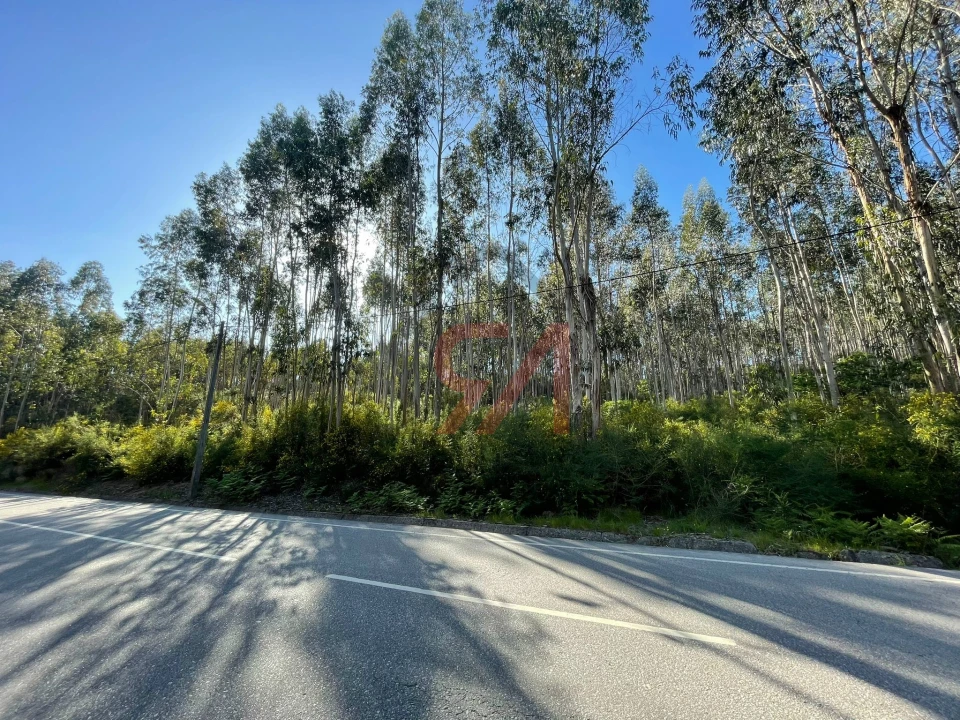 Terreno para Venda em Eiriz Foto 2