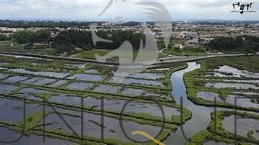 Apartamento T3 para Venda em Glória e Vera Cruz Foto 6