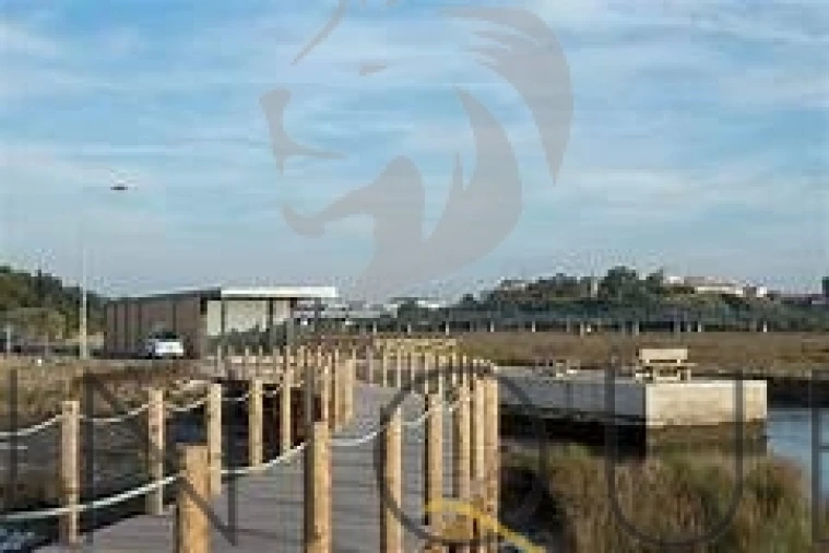 Apartamento T3 para Venda em Glória e Vera Cruz Foto 11